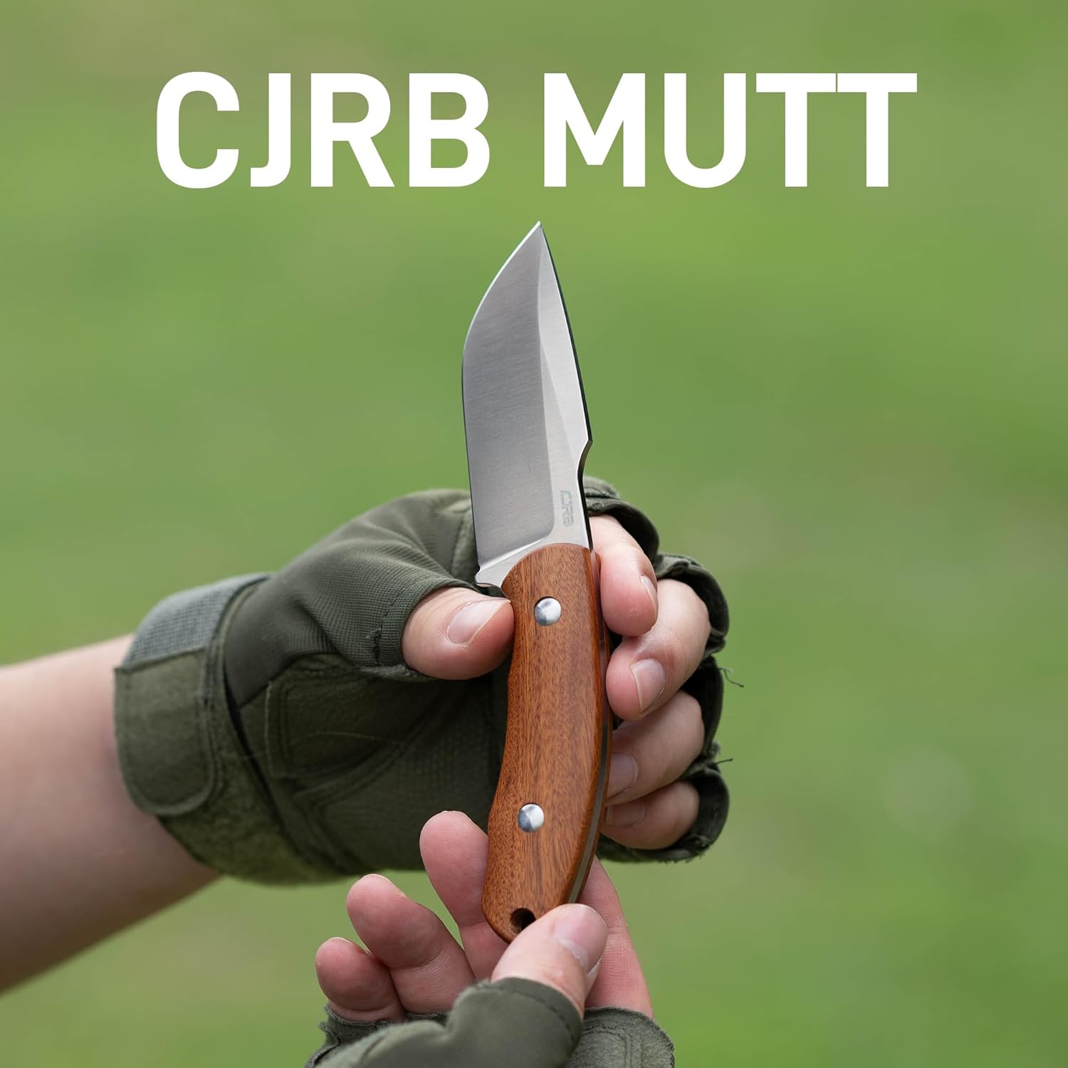CJRB Mutt J1958 AR-RPM9 Steel Blade Fixed Blade Knives - Wood (J1958-WD)