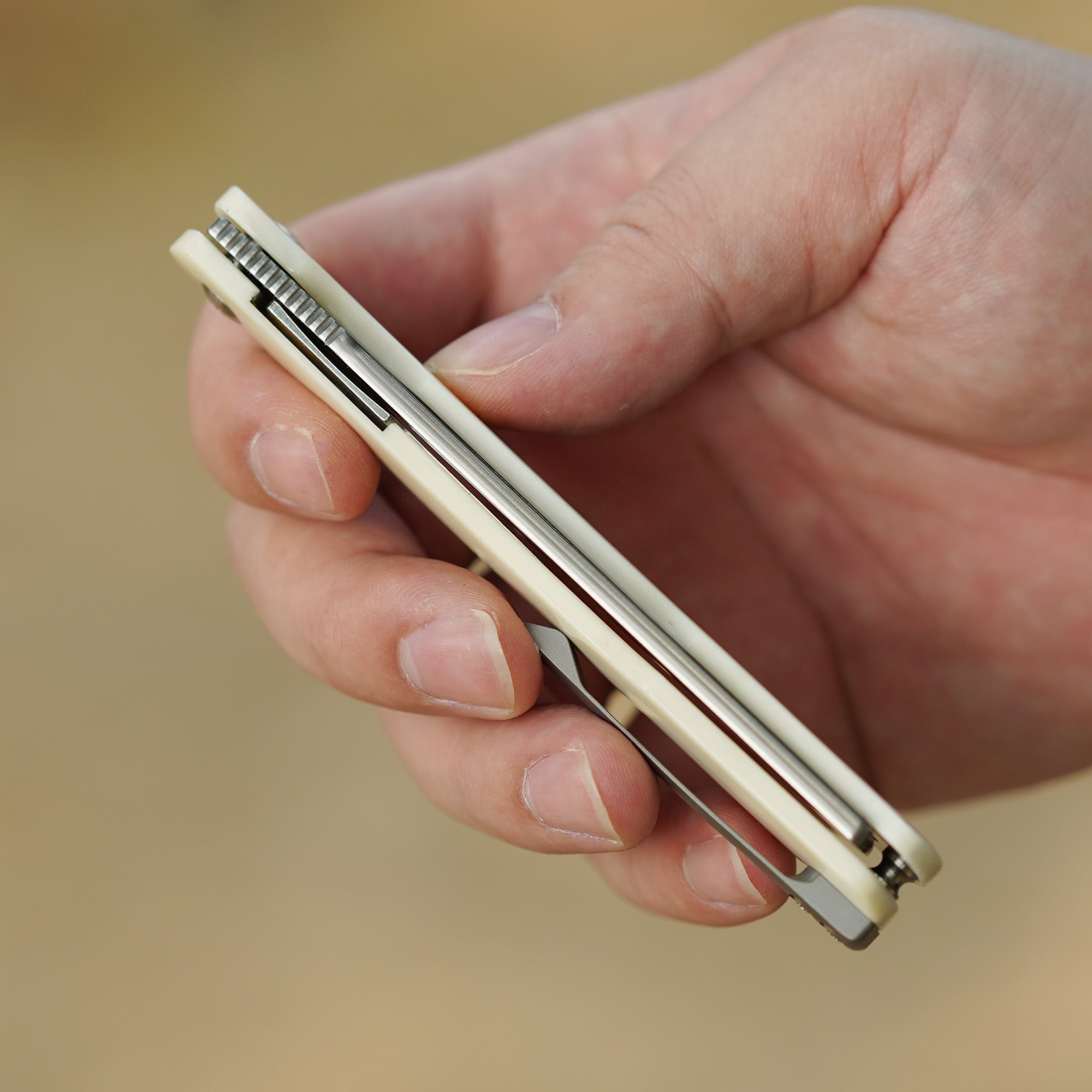 Artisan Cutlery Orthodox V2 Flipper & Liner Lock Knife Bovine Bone Handle (3.54'' Sand Polish CPM S45VN Blade) 1883G-BB (Limited)