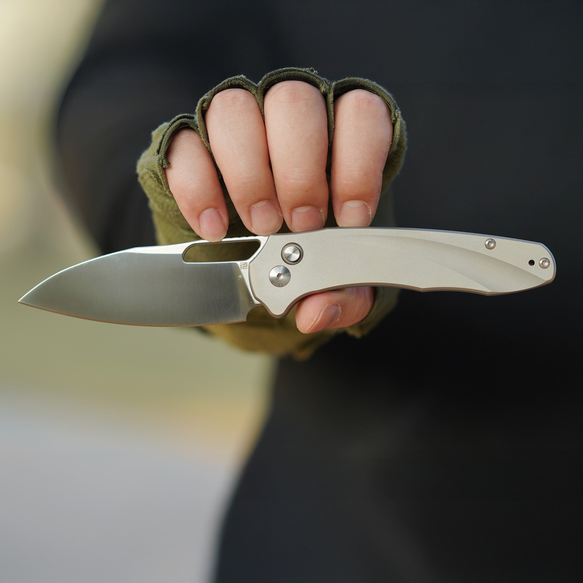 Artisan Cutlery Ornis 1865G CPM S90V Blade Titanium Handle Folding Knives