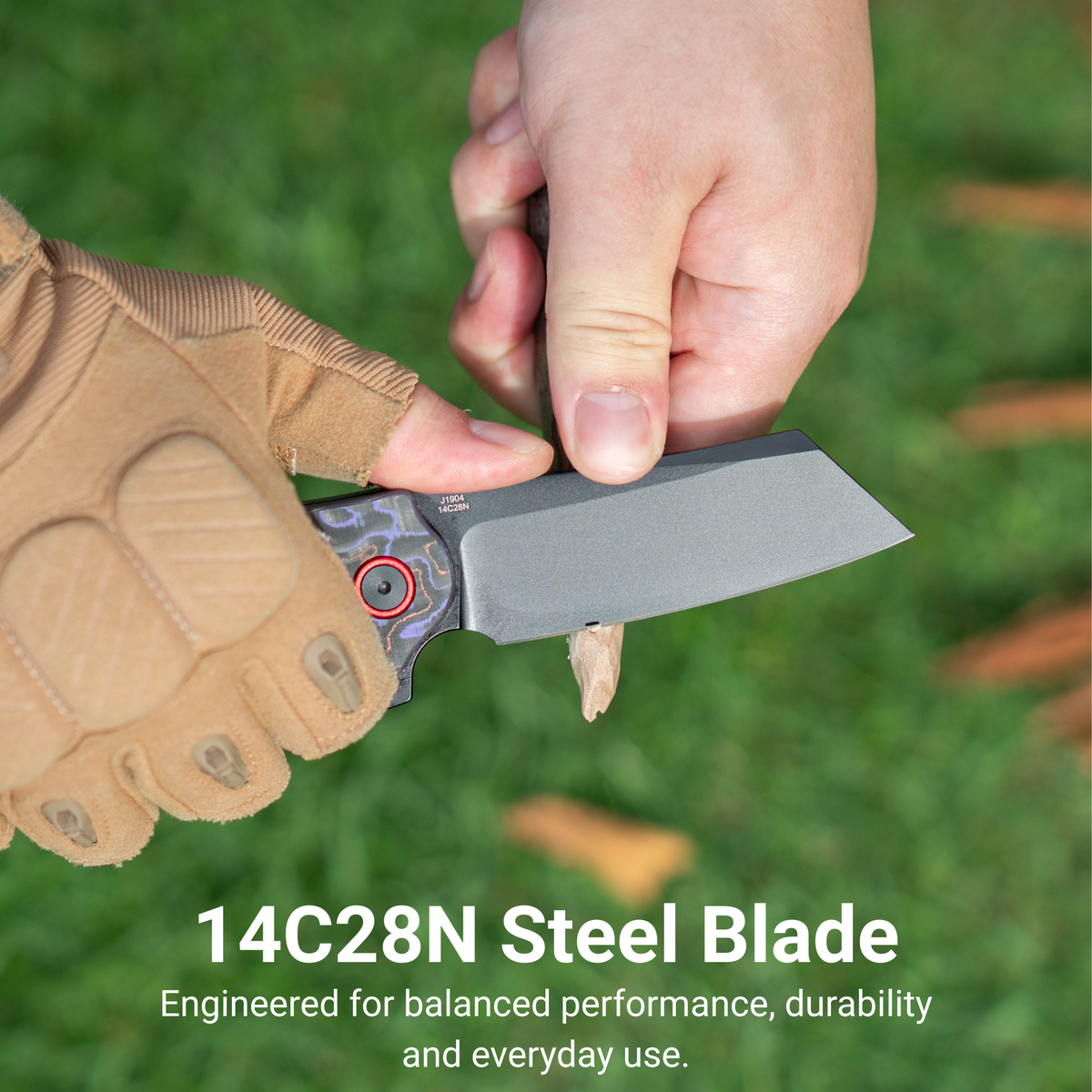 CJRB Crag Flipper & Liner Lock Folding Knife Purple Fat Carbon Handle (3.43'' 14C28N Steel Black PVD Coating Blade) J1904-PUCF (Exclusive)