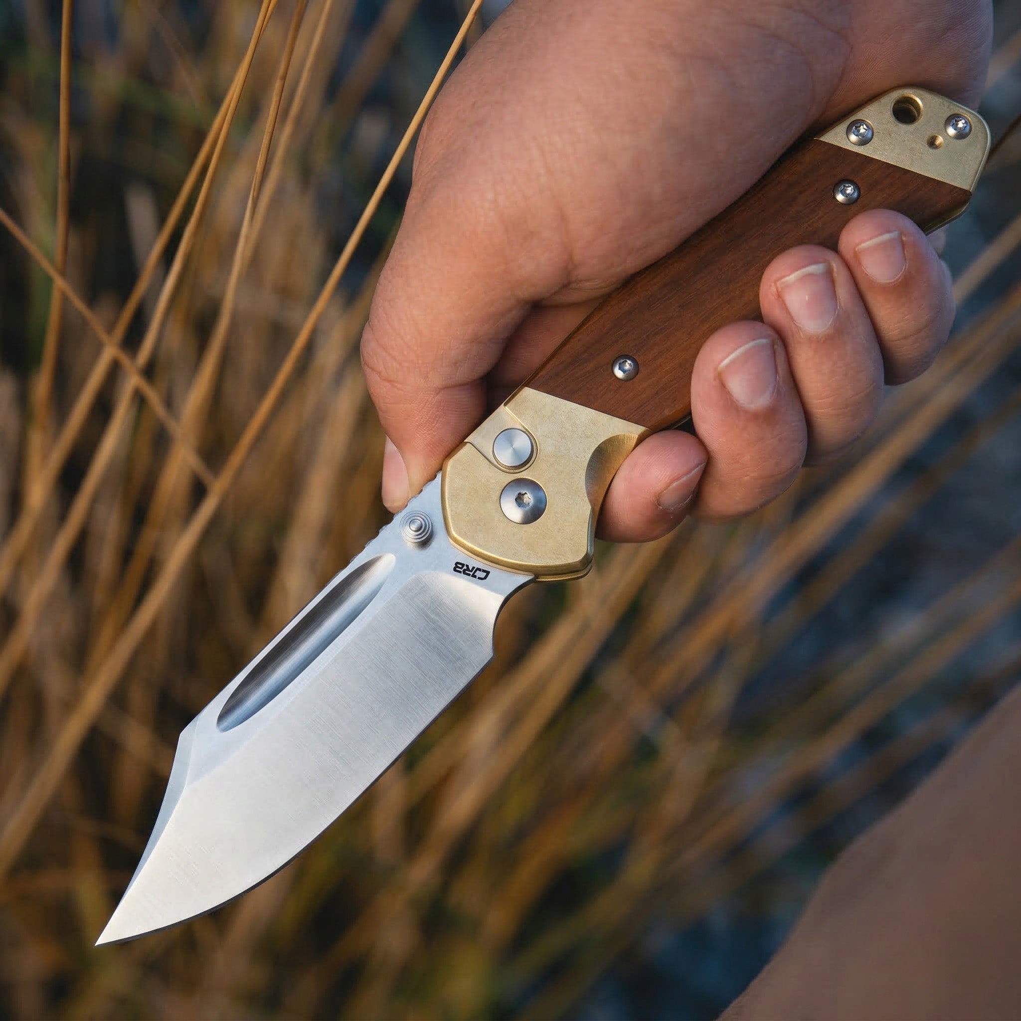 ロッド SALTY PLUGGER BORON '04 LIMITED EDITION CJRB Bowie Pyrite J1942 CPM S90V Blade Brass&Rose Wood Handle