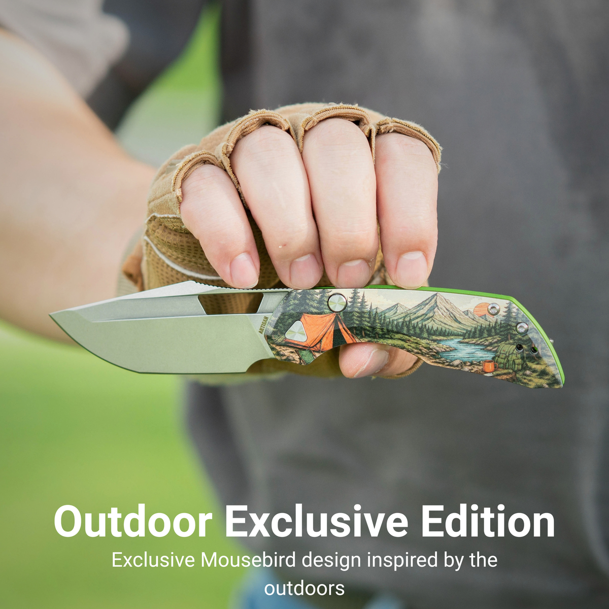 Artisan Cutlery Mousebird Thumb Hole Top Liner Lock EDC Knife 7075-T6 Aluminum Handle Titanium Clip(3'' N690 Stone Wash Blade ) 1889G-SAL (Exclusive)