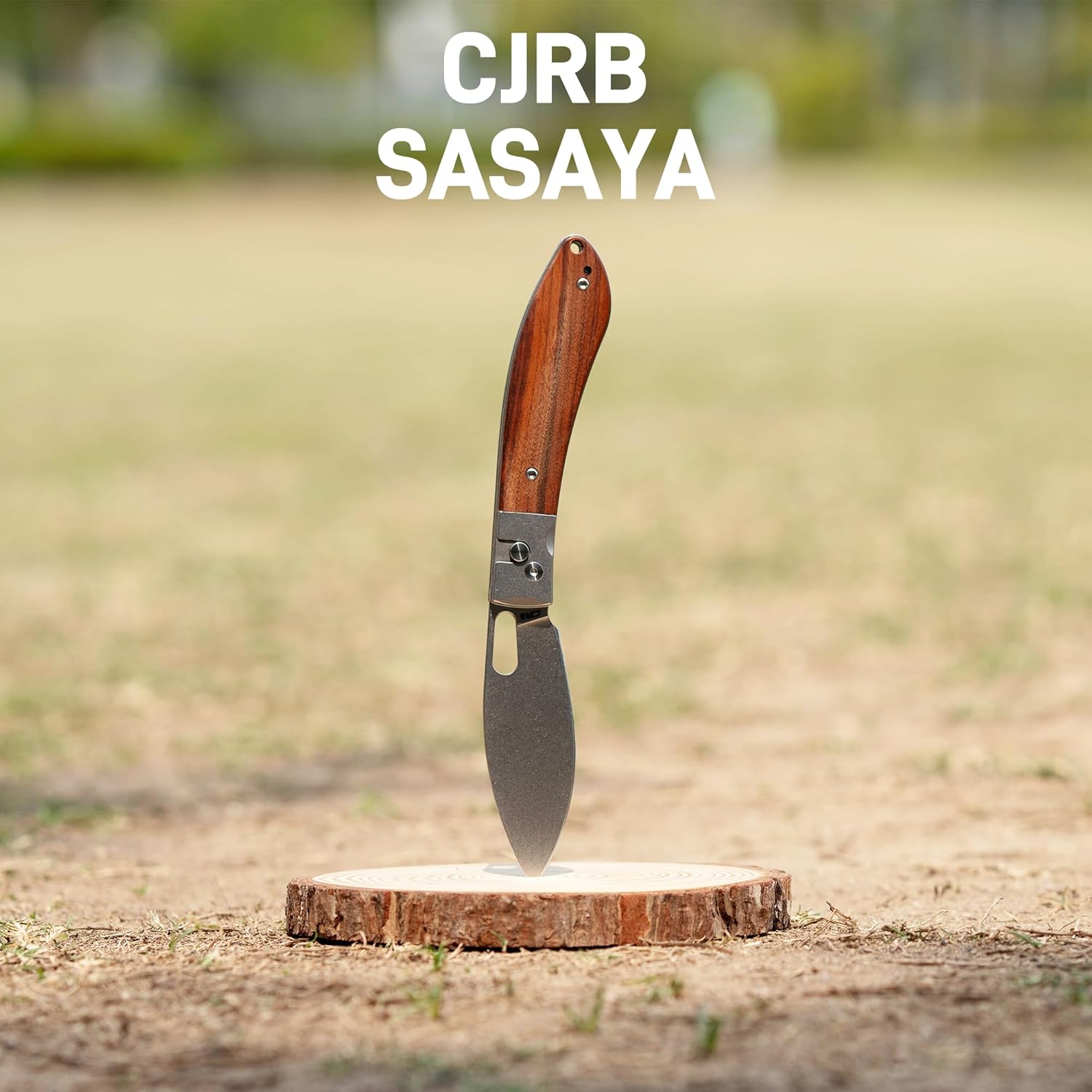 CJRB Sasaya J1959 AR-RPM9 Steel Blade Wood Handle Folding Knives