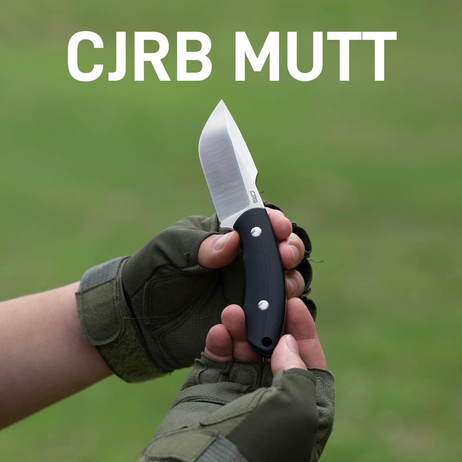 CJRB Mutt J1958 AR-RPM9 Steel Blade Fixed Blade Knives - Black G10 (J1958-BK)