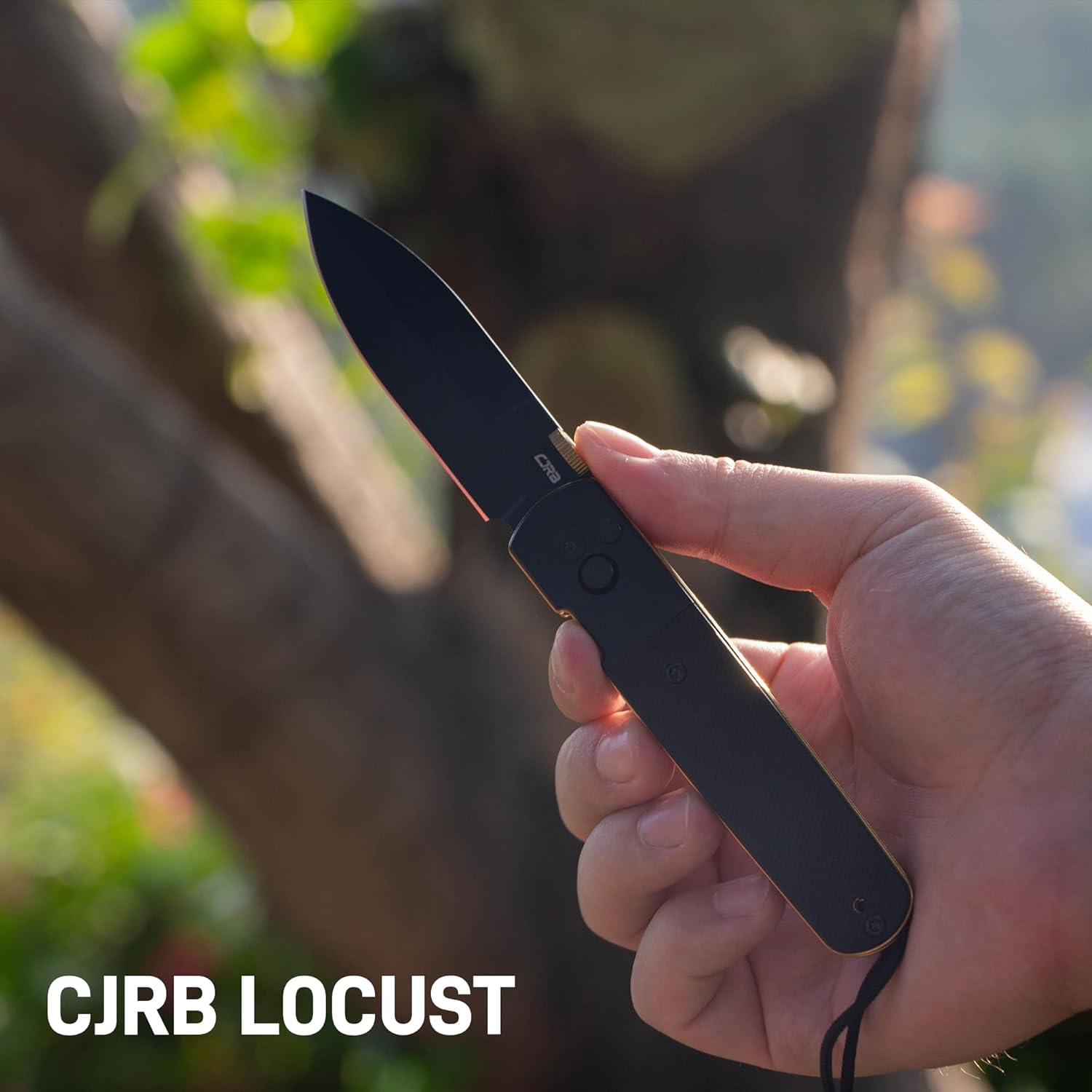 CJRB Locust J1951 AR-RPM9 Blade Steel G10 Handle Folding Knives, J1951-BG